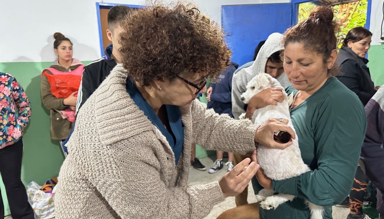 Los Municipios de Almirante Brown y Lomas de Zamora realizarán un operativo integral gratuito de sanidad animal